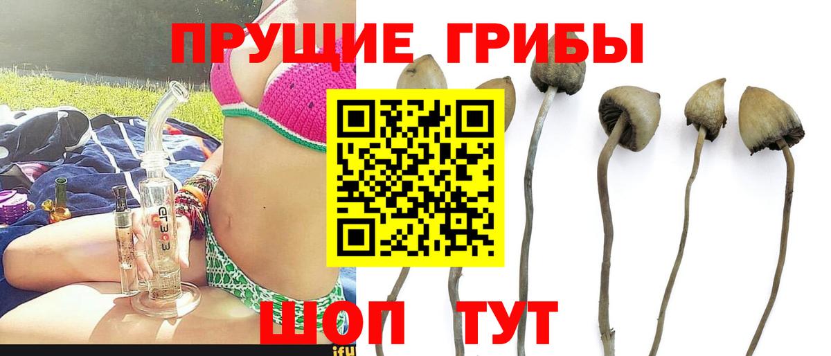 Алапаевск  Галлюциногенные грибы MAGIC MUSHROOMS  Вход с VPN 